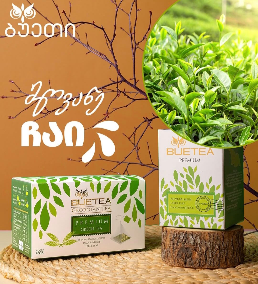 Grüner Tee Premium Qualität 15 Aufgussbeutel